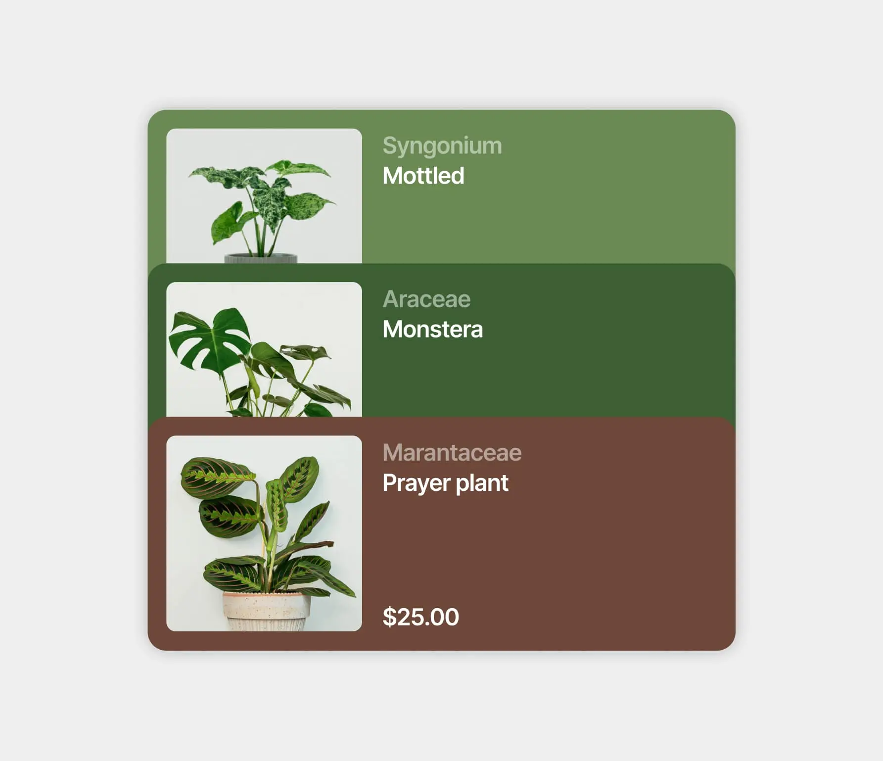 Plant App
