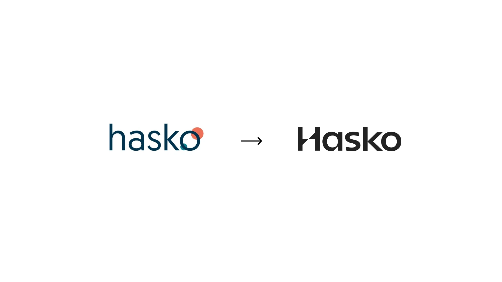 Hasko Invest branding before