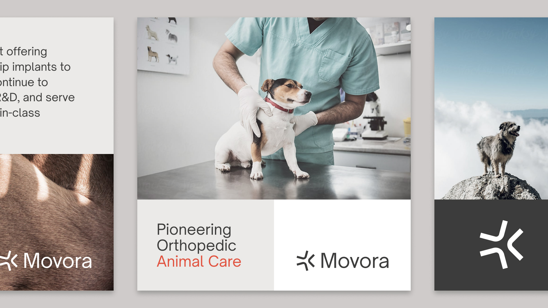 Movora